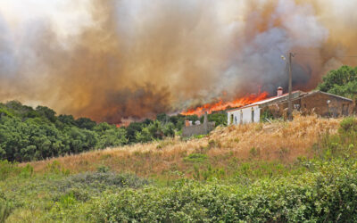 Protect Your Home Against Wildfires